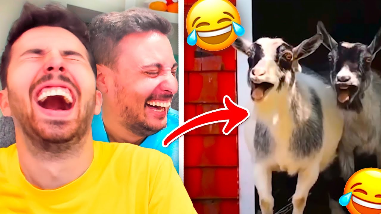 Si te Ries PIERDES! Fargan VS Willy