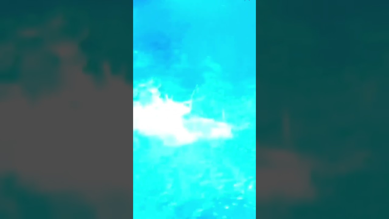 Swiss Aquatics Diving Triple Somersault