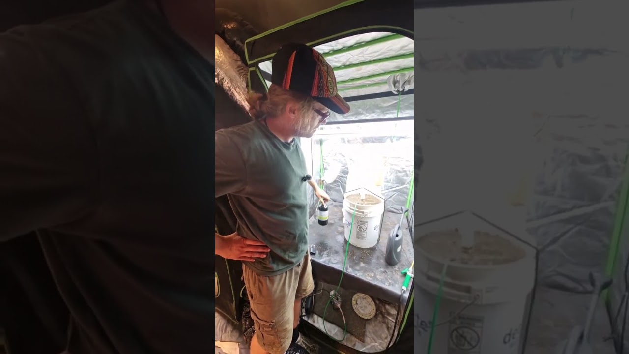 Booster f&uuml;r den Gem&uuml;se-& Hanf-Anbau / Kompost-Tee