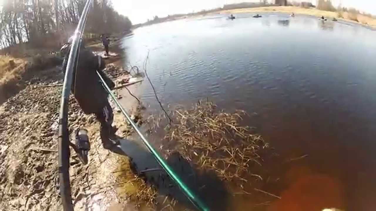 Roach fishing on Pärnu river
