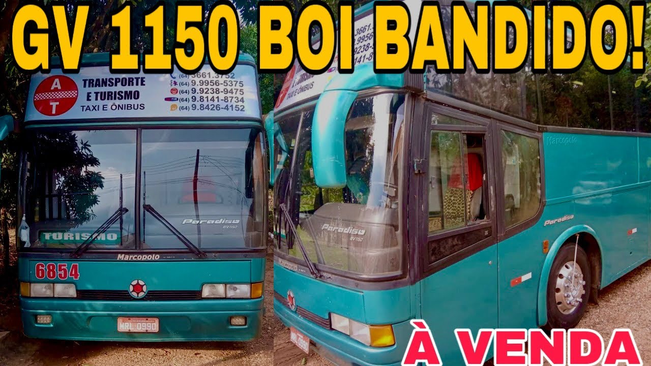 ÔNIBUS MARCOPOLO GV 1150 ANO 1995 - SCANIA (BOI BANDIDO) À VENDA