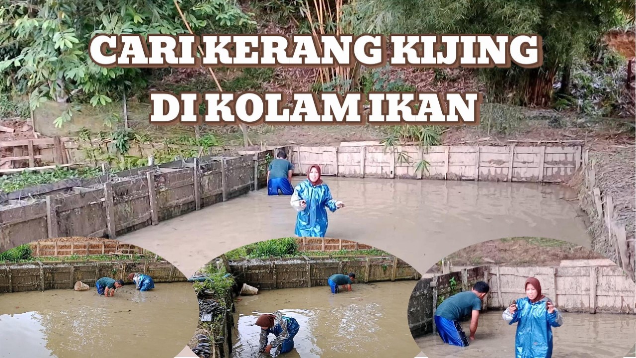 CARI KERANG KIJING SAMBIL NGANGKAT LUMPUR DI KOLAM
