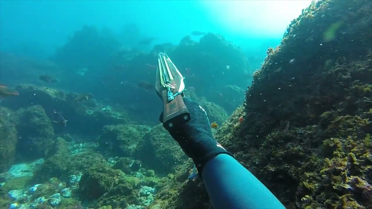 MAGMA Spearguns - Sea to table dinner