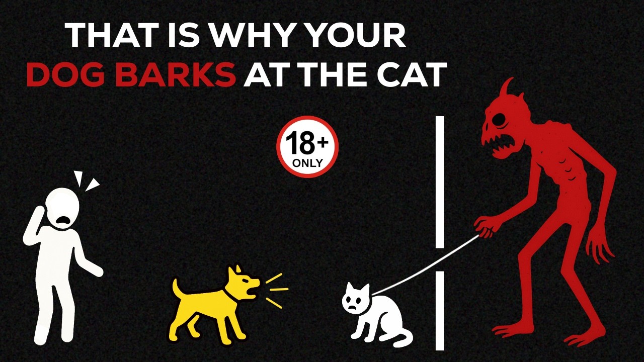 If Your Dog Starts Barking At Cats... He Knows The Truth - Analog Horror