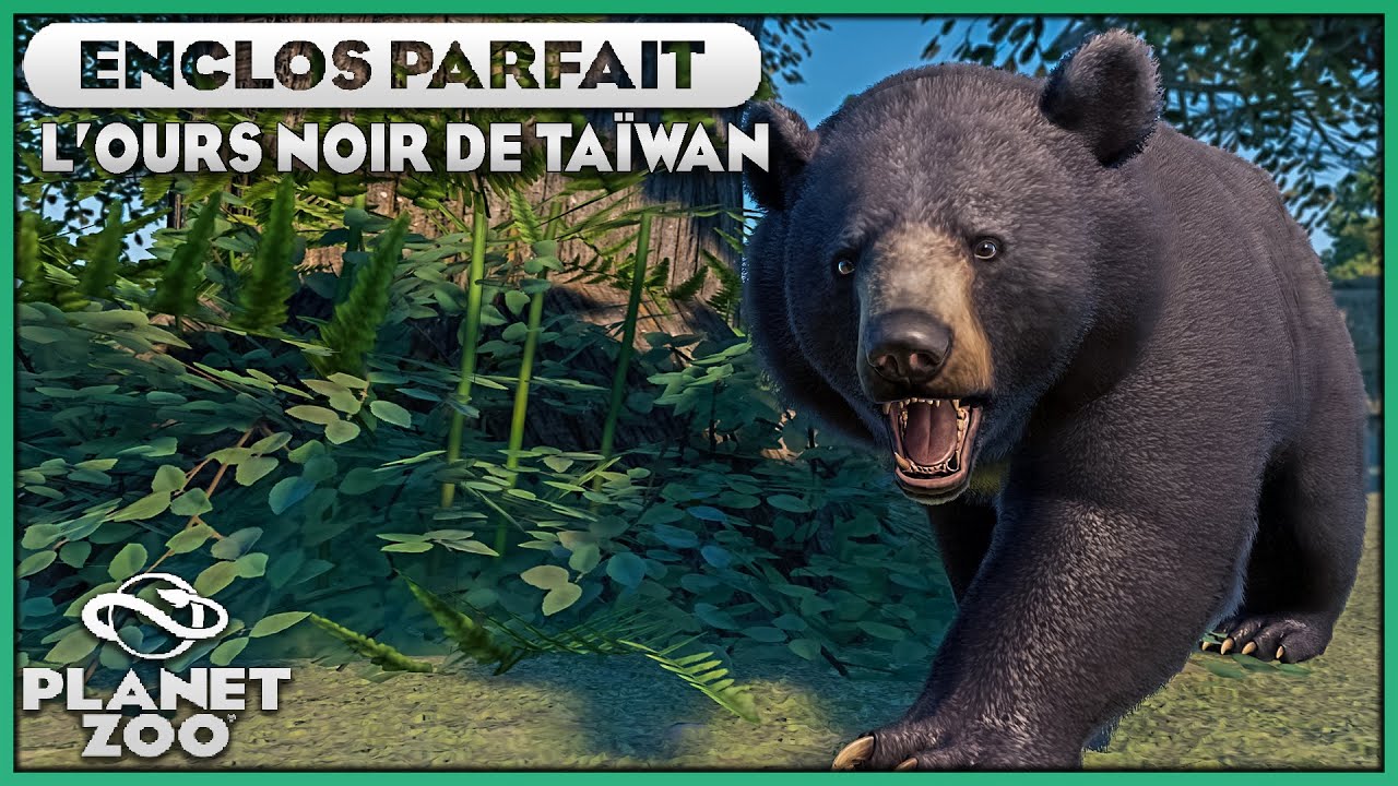 Les Ours Noirs de Taïwan | LES ENCLOS PARFAITS : EPISODE 66 | PLANET ZOO