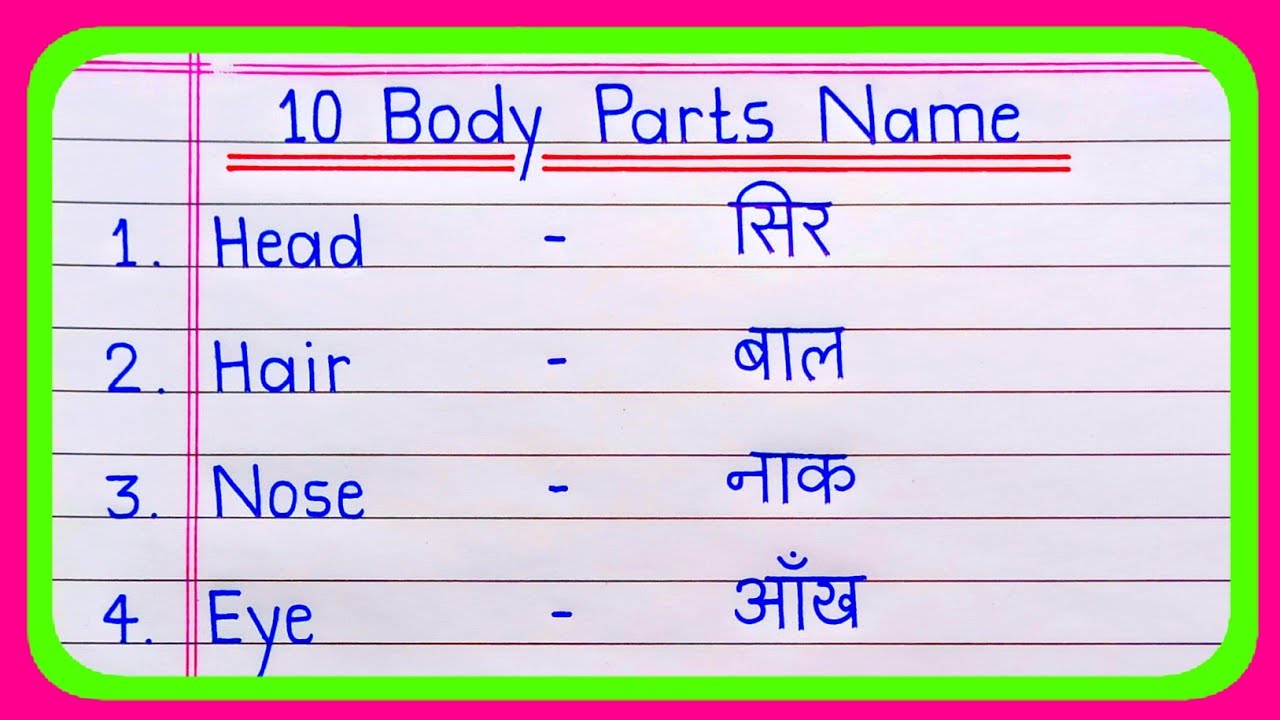 10 Body Parts Name in english and hindi | Human Body Parts Name | Body Parts Name