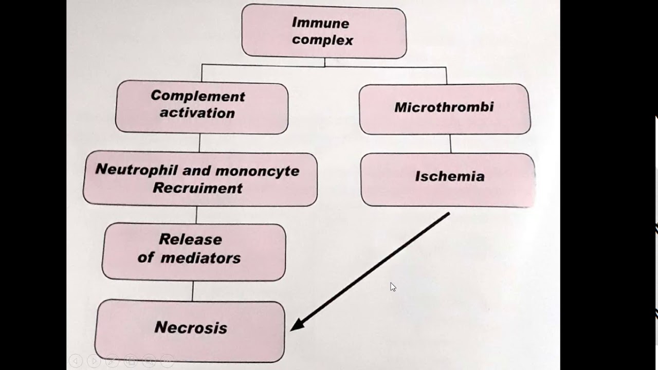 IMMUNOPATHOLOGY