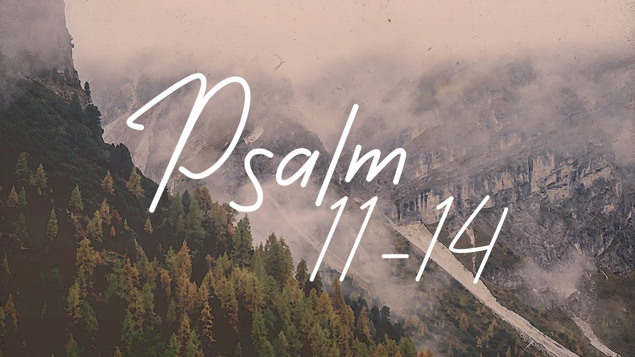 Psalm 11-14