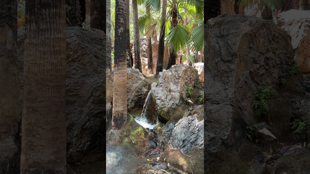 Zebedee springs - The Kimberley - Western Australia