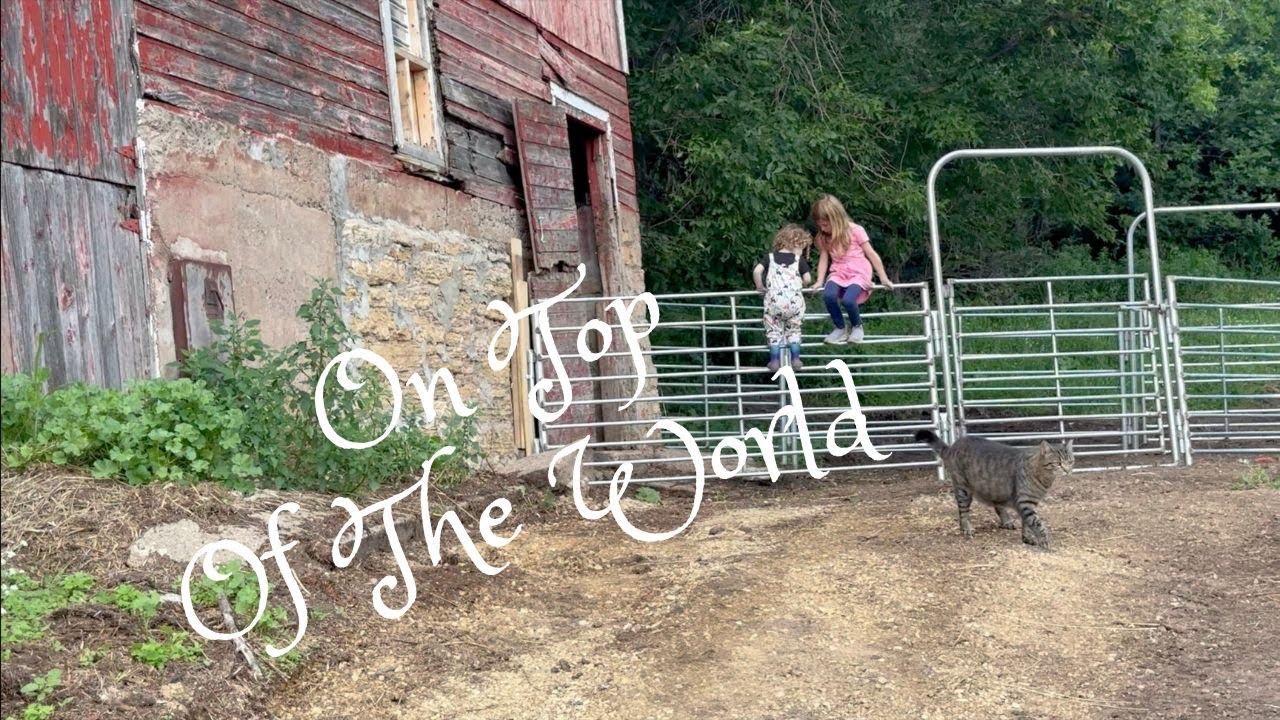 Farm Walk: Jeannie and Radiance Explore