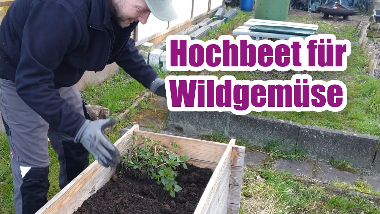 Brennnesseln im Hochbeet anbauen? So legst du dein Wildkräuterbeet schnell an! 🌿🔥| Wildkräuterwissen