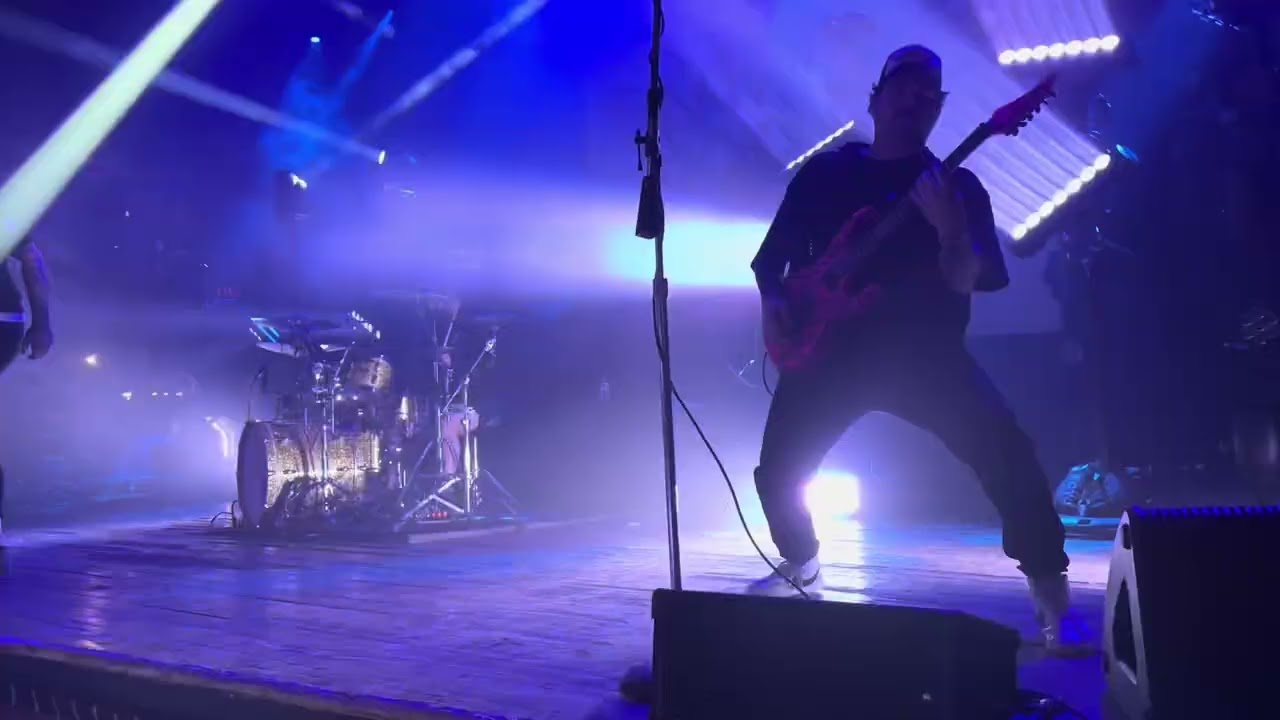 Signs Of The Swarm - Amongst The Low And Empty