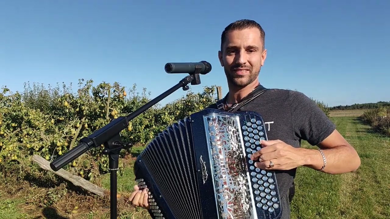 Accordéon - Et si tu n'existais pas - Dassin - David Acz
