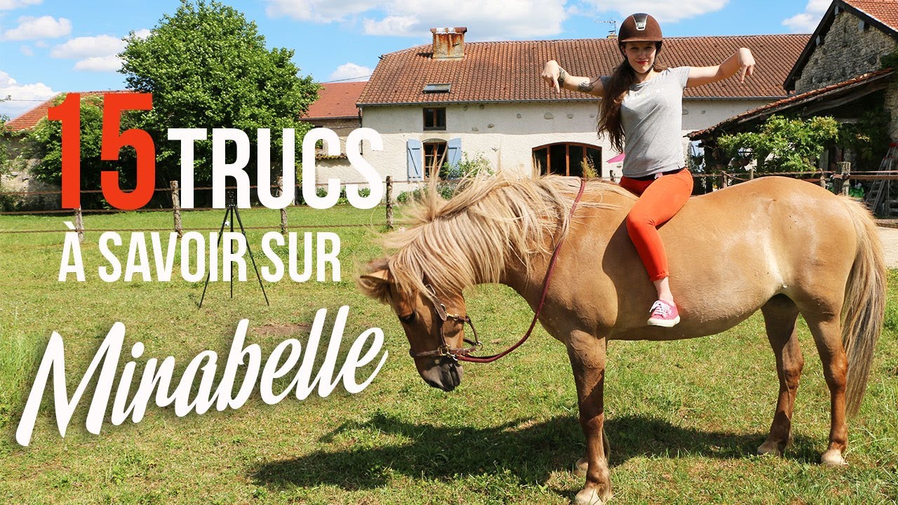 ~ 15 TRUCS &Agrave; SAVOIR sur Mirabelle ! 🐹 ❤ ~