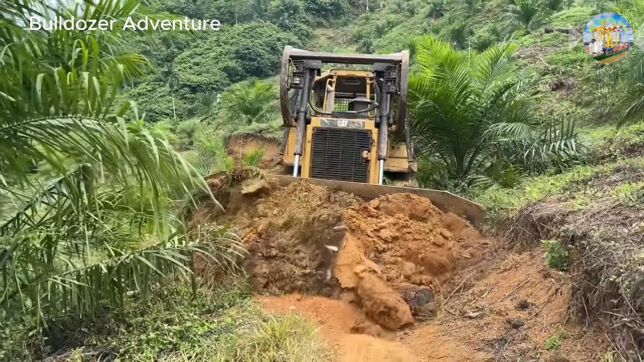 Bulldozer CAT D6R XL Opens Palm Oil Roads in Minutes!