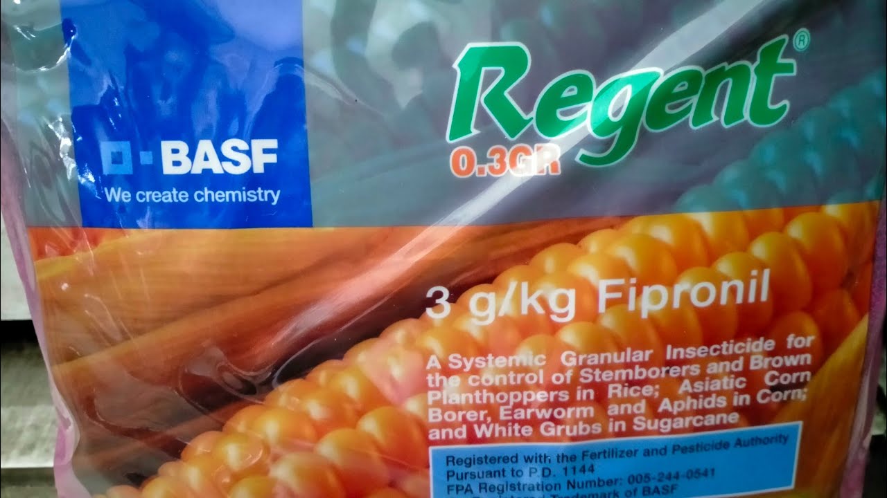 How To Apply Regent Insecticide