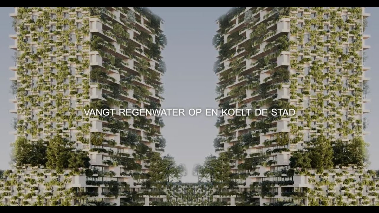 Arcadis – De gezonde en leefbare stad – Project Wonderwoods
