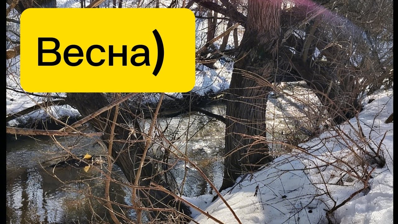 ВЕСНА! ШАШЛЫК! 😊