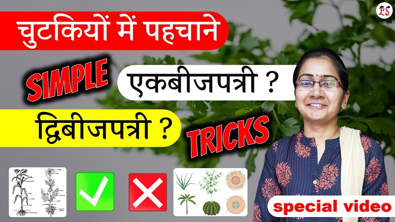 0.1 Second में याद... एकबीजपत्री व द्विबीजपत्री को आसानी से पहचाने || Simple Tricks
