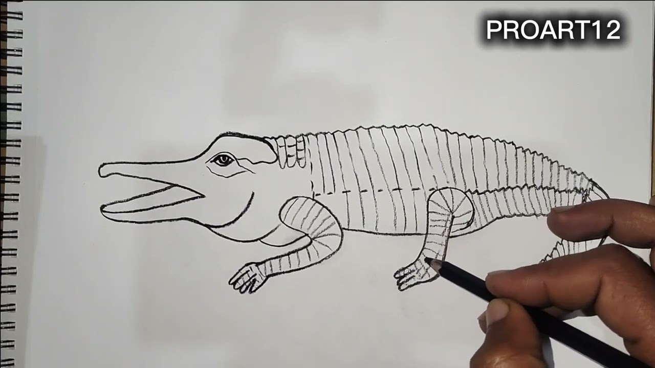 how to draw realistic stuff step by step. hard drawings step by step with pencil. how to draw a face