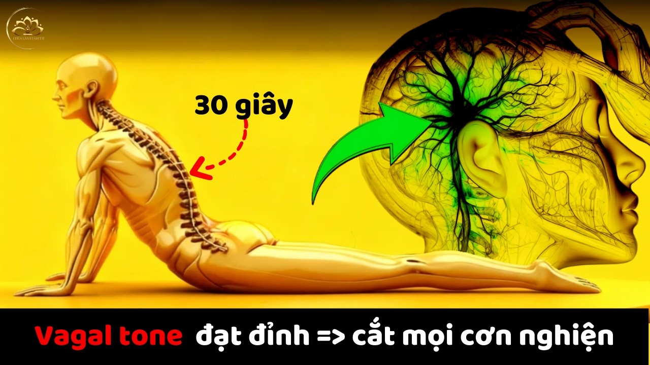 Bạn có Dám Thử KÍCH HOẠT Sushumna Nadi Để Thay Đổi Cuộc Sống?