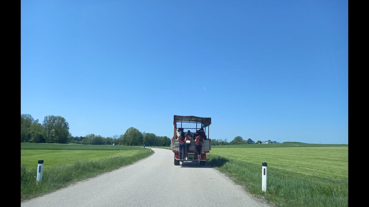 Maiblasn 2025 - Trachtenkapelle Kallham