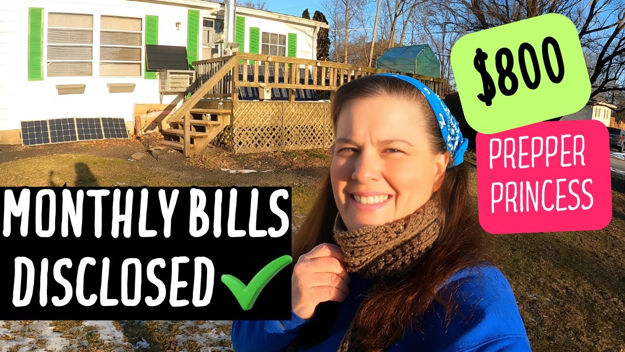 💥EXPLAINED OUR MONTHLY EXPENSES, EXTREME BUDGET FOR 2025 @PrepperPrincess  @UndertheMedian