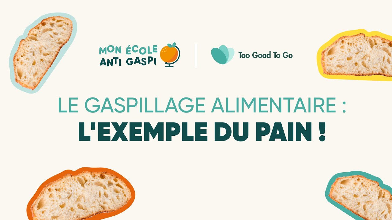 Le pain : les conséquences du gaspillage alimentaire sur l'environnement | Mon École Anti Gaspi👩‍🎓​