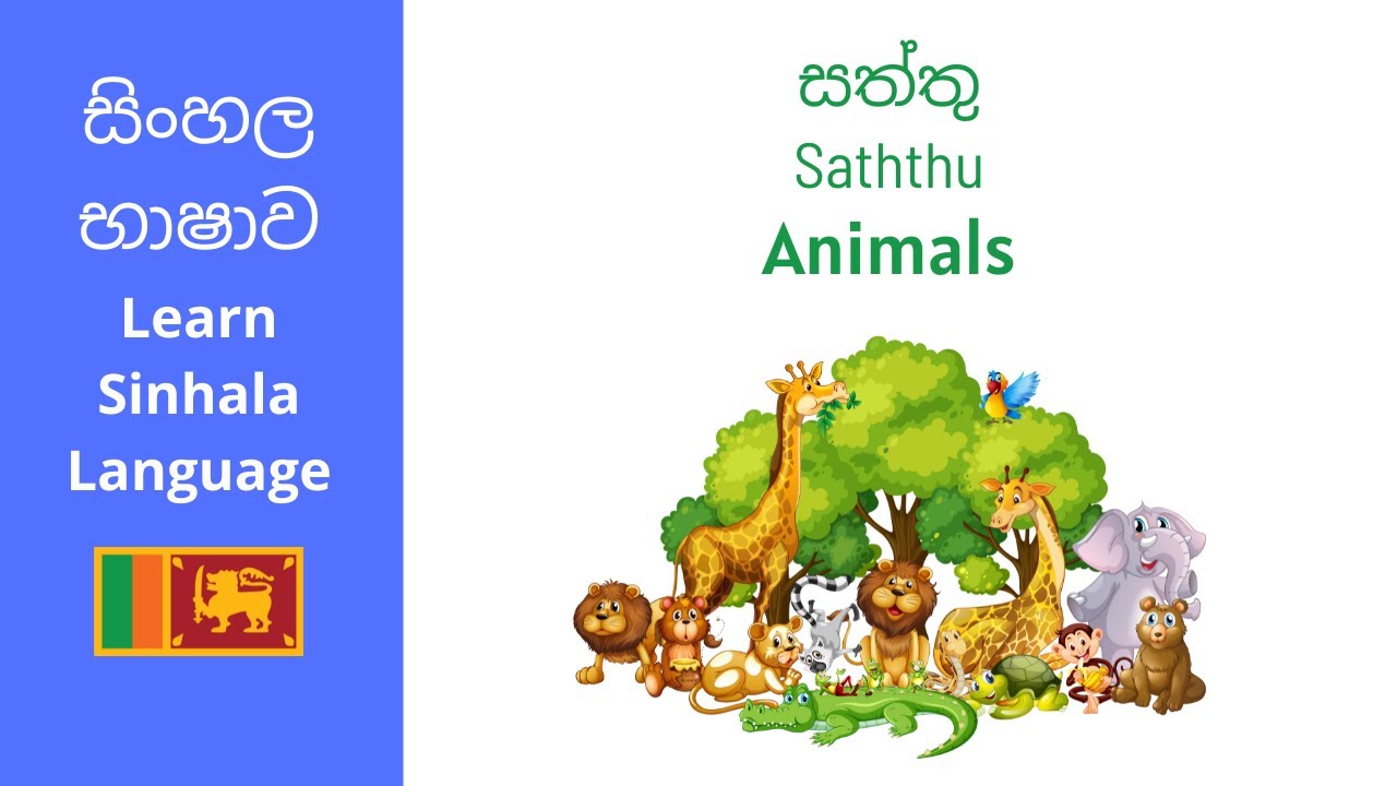 Learn the names of animals in Sinhala