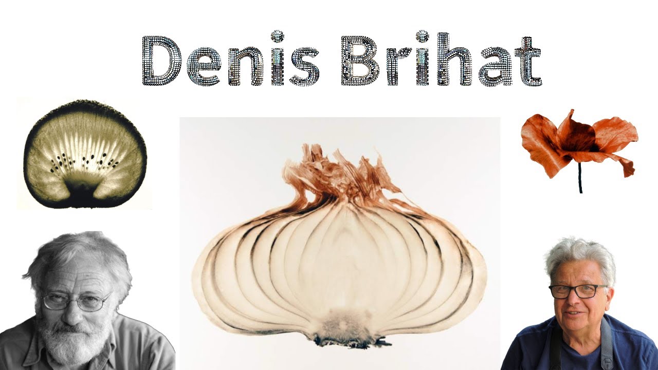 Denis Brihat photographe