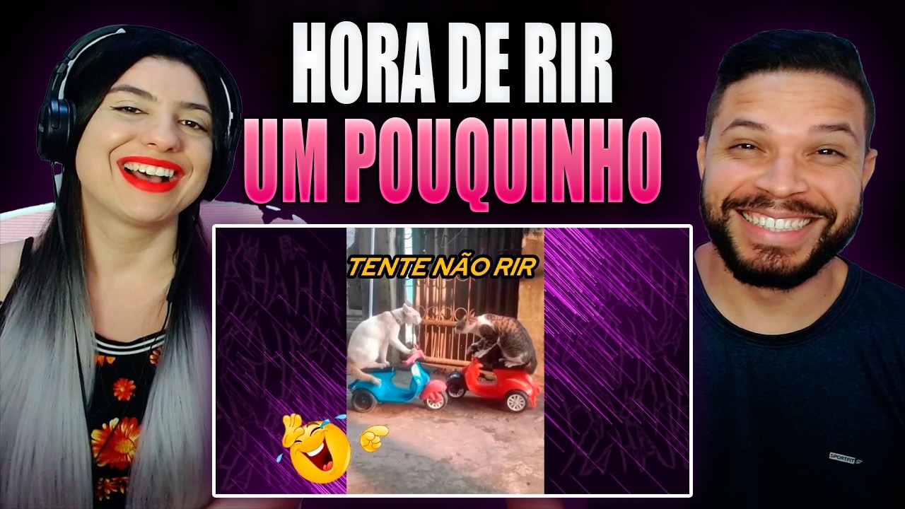 Tente n&atilde;o rir T02 EP07 | compilado de memes | Meow memes (REACT)