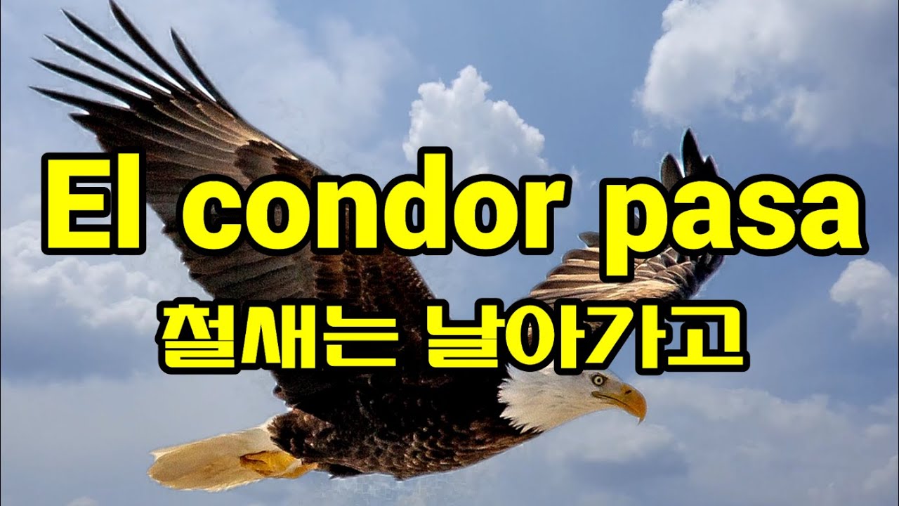 El Condor Pasa  . 철새는 날아가고