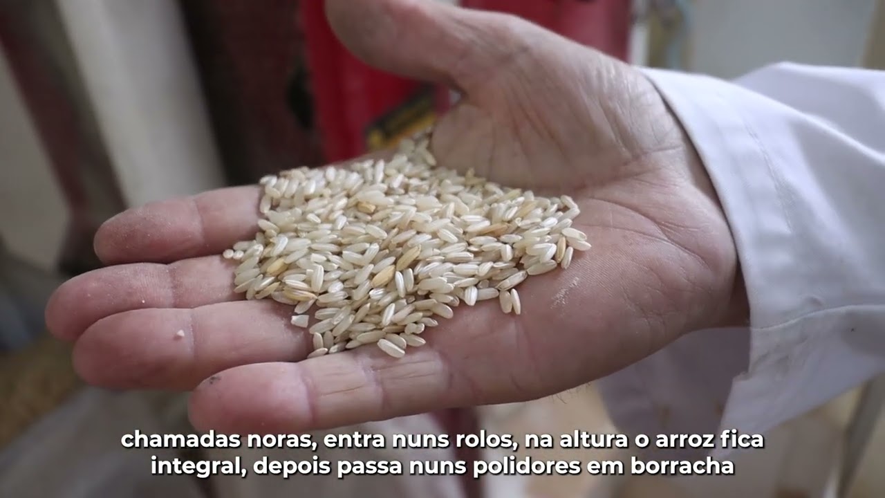 Artes & Ofícios - Arroz de Maiorca