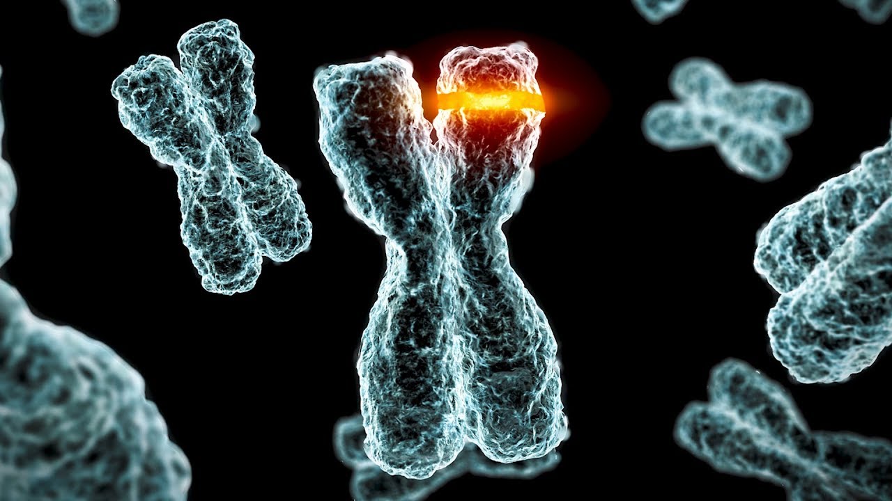 New findings on the Philadelphia chromosome