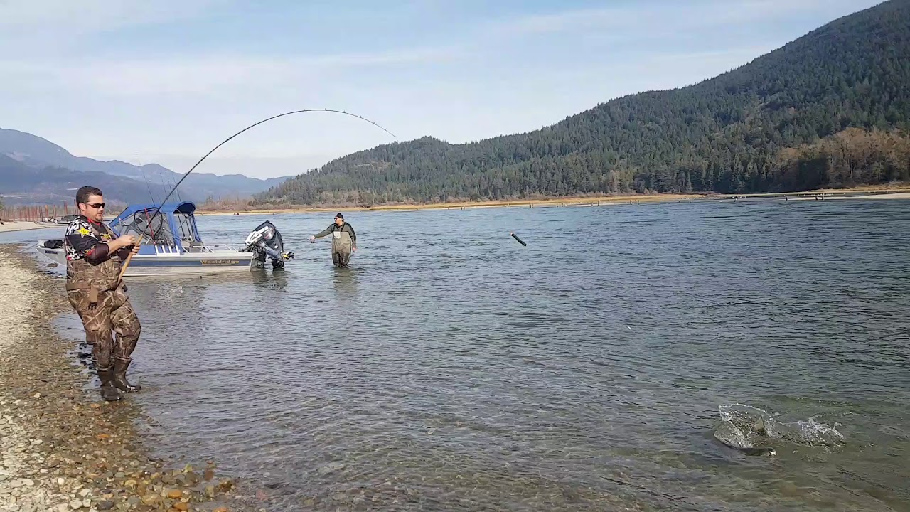 Harrison River Salmon Fishing -chum