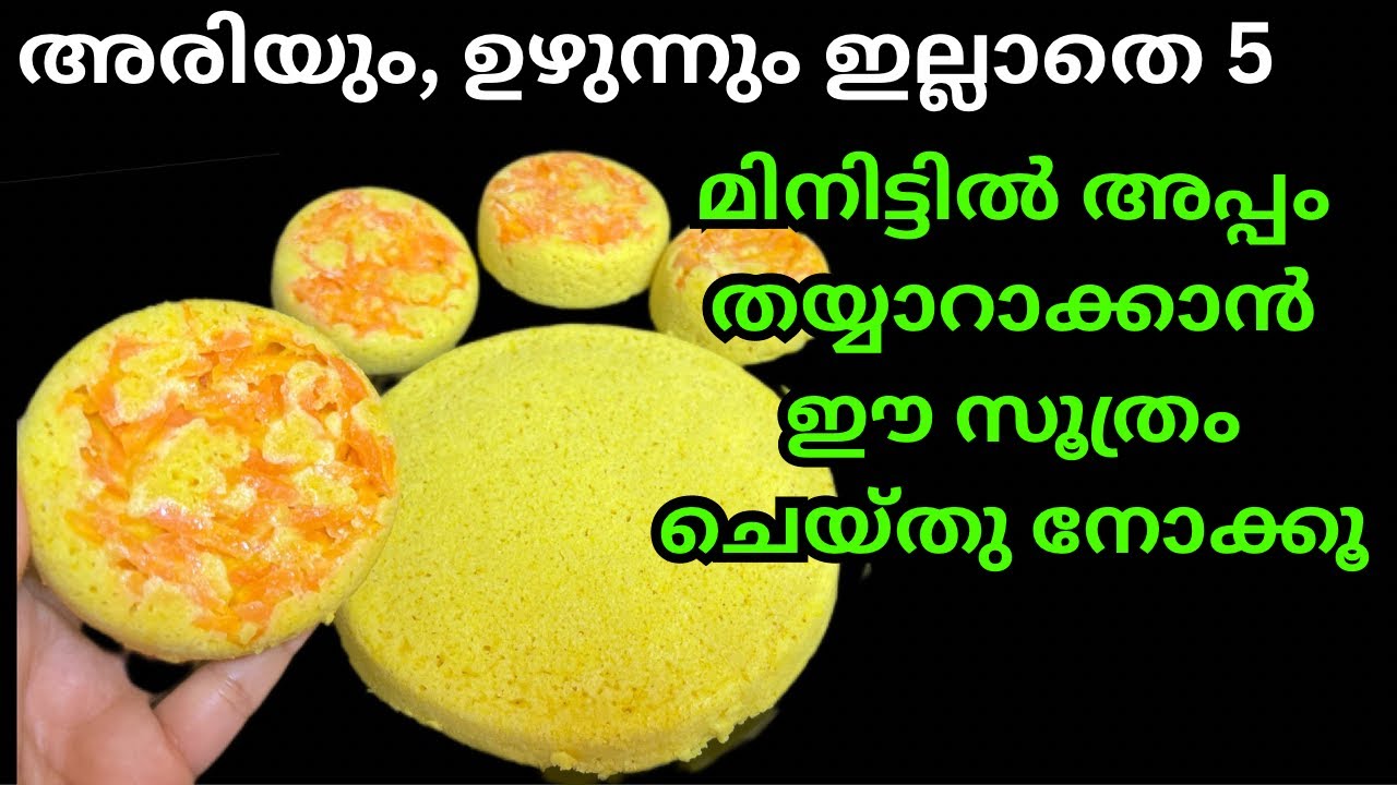 കടലപൊടിയുടെ അപ്പം ഇതുവരെ നന്നായില്ലെങ്കിൽ ഈ സൂത്രം ചെയ്തു നോക്കൂ Instant Soft & Spongy Dhokla Recipe