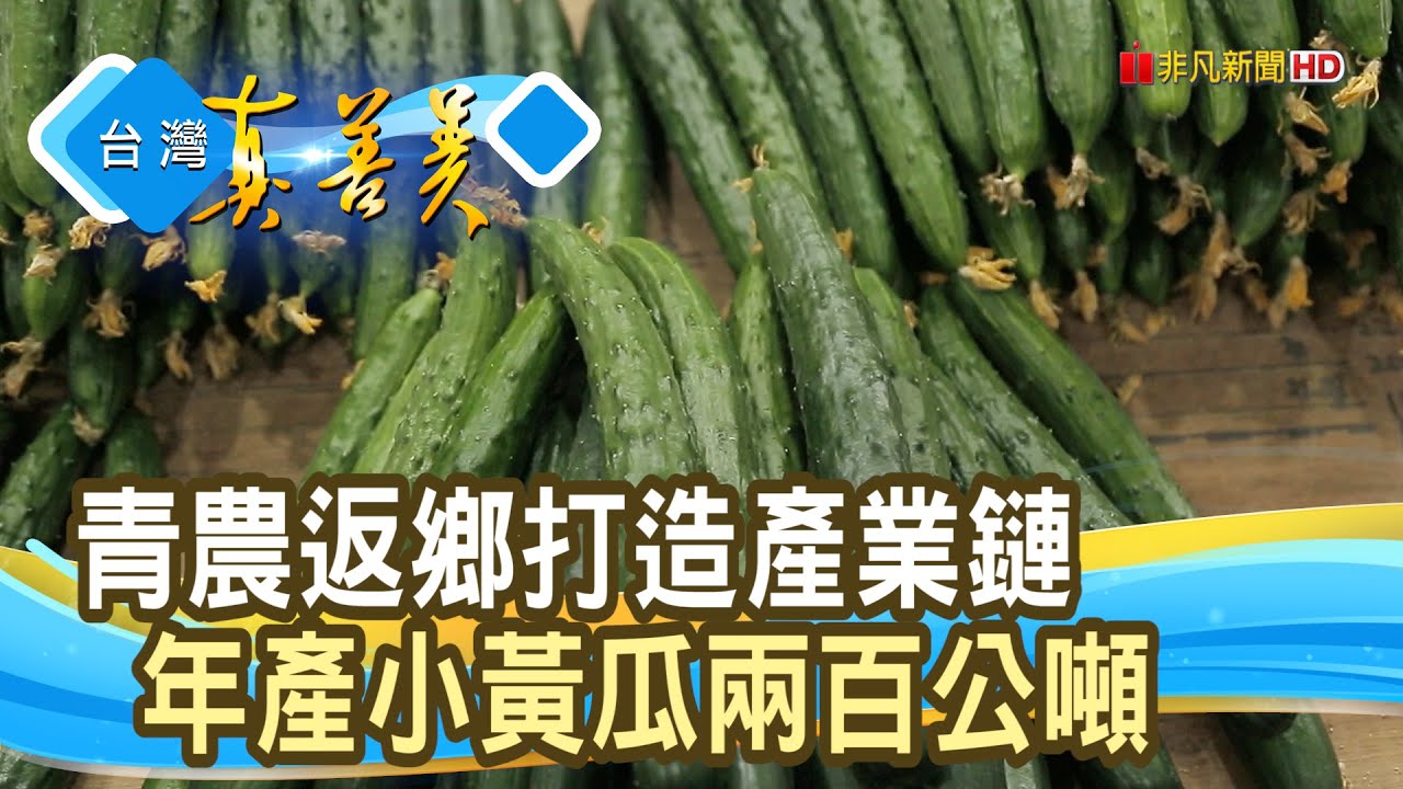 “小黃瓜產業”翻轉家鄉｜微醺農場｜【台灣真善美】2023.03.19