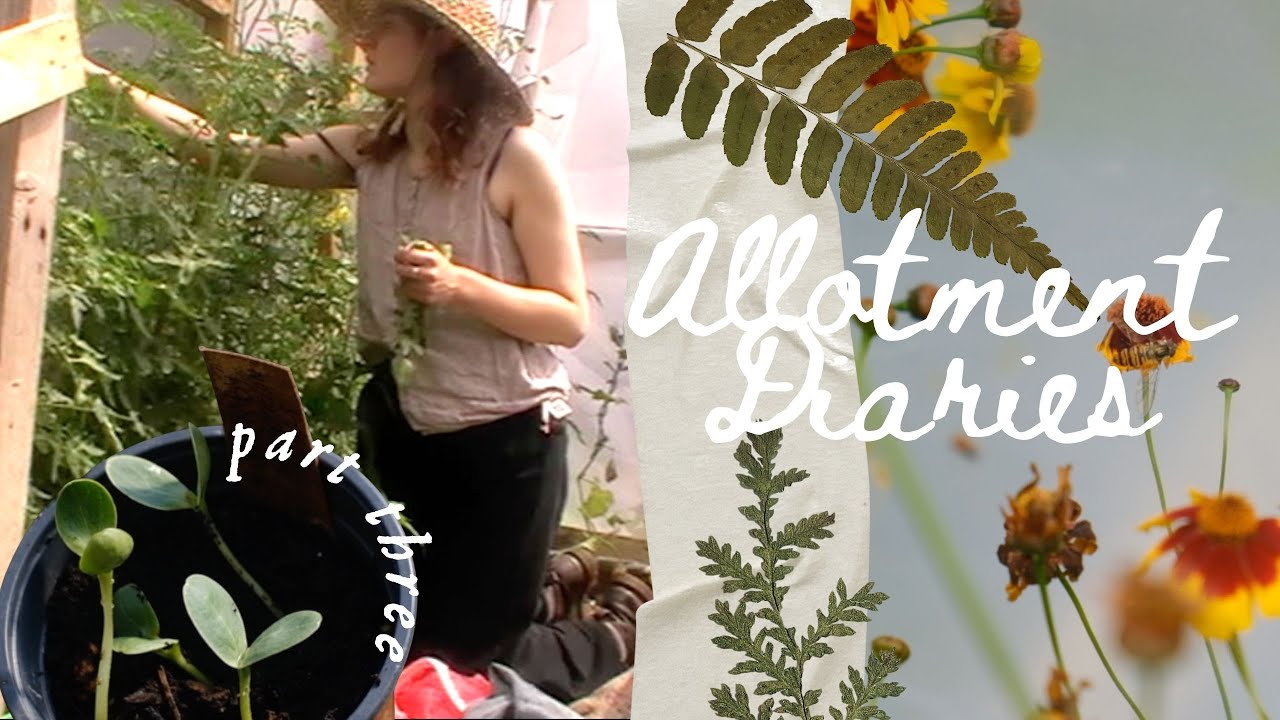 ✥ Allotment Diaries ✥ Part Three ✥