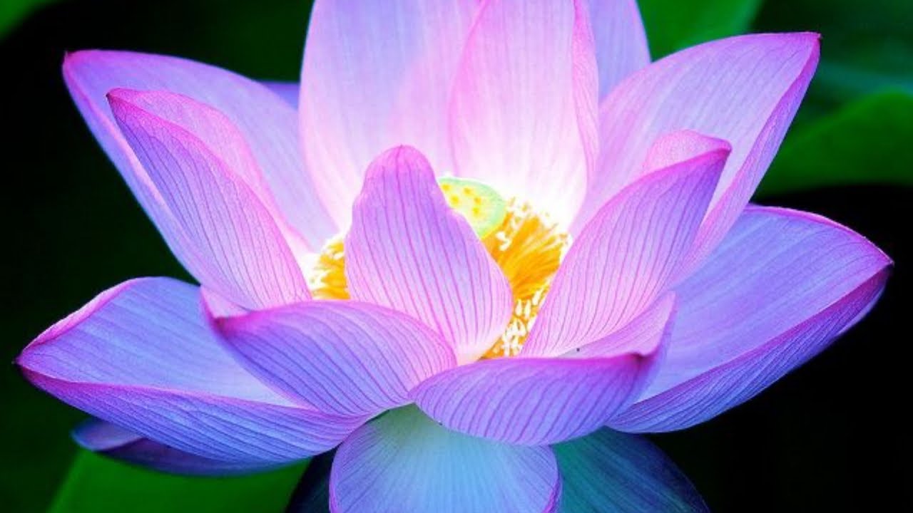 Материнская энергия потеряла контроль над повествованием.