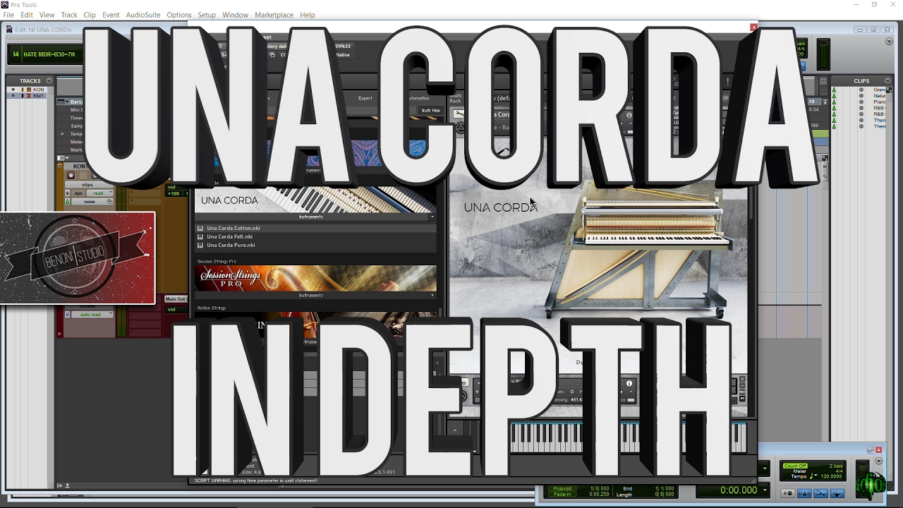 UNA CORDA | IN DEPTH