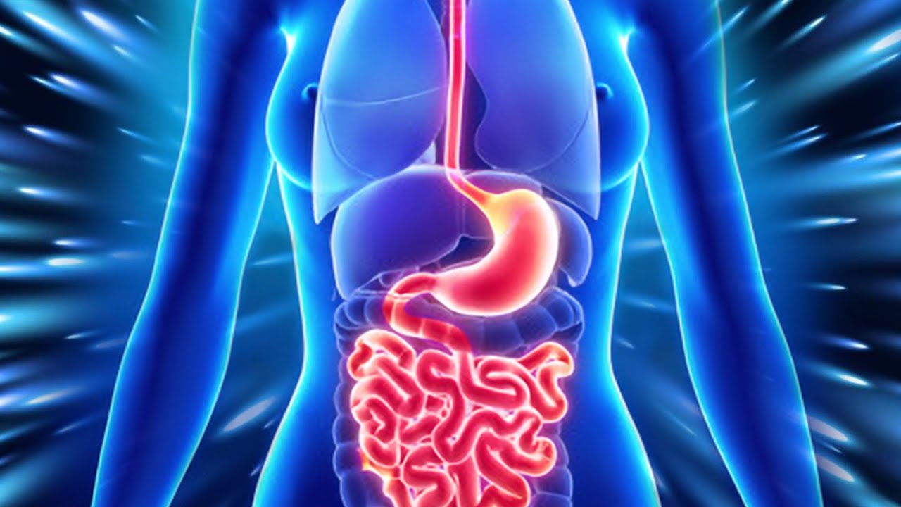 Powerful  Meditation for Digestive Health ☀️ Stomach, Intestine & Digestion Enhancement Therapy