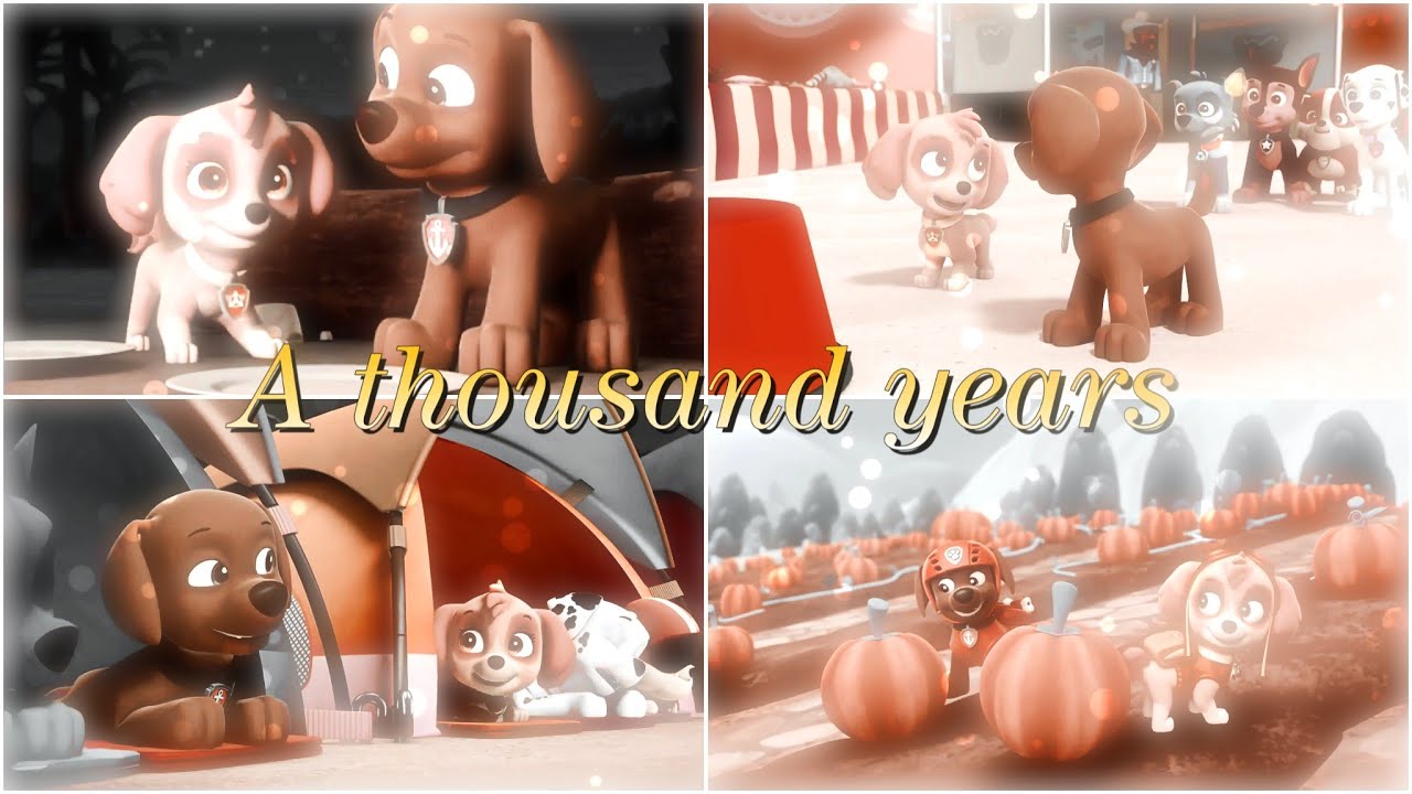 💞 SKYE and ZUMA Tribute 💞 A Thousand Years ~ PAW PATROL MV