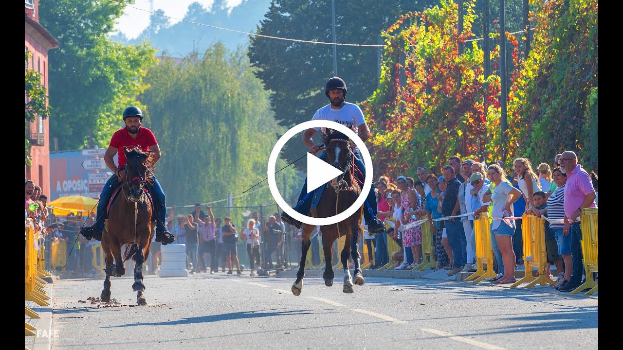 FAFE - Corrida de Cavalos a Passo Travado 2023
