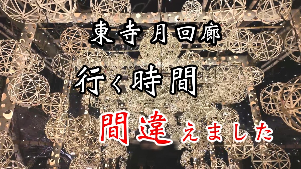【東寺 月回廊】まさかの激混み⁉︎ 時間帯別の混雑状況と魅力を徹底解説！おっさん一人で検証してきた【京都ライトアップ2026】