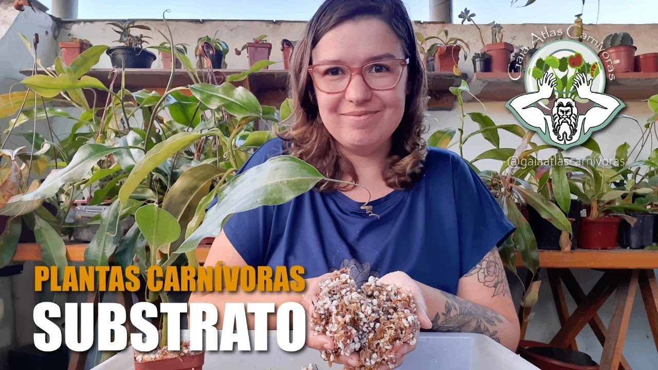 SUBSTRATO | PLANTAS CARN&Iacute;VORAS