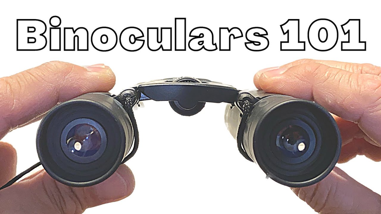 Binoculars Basics for Beginner Cruisers