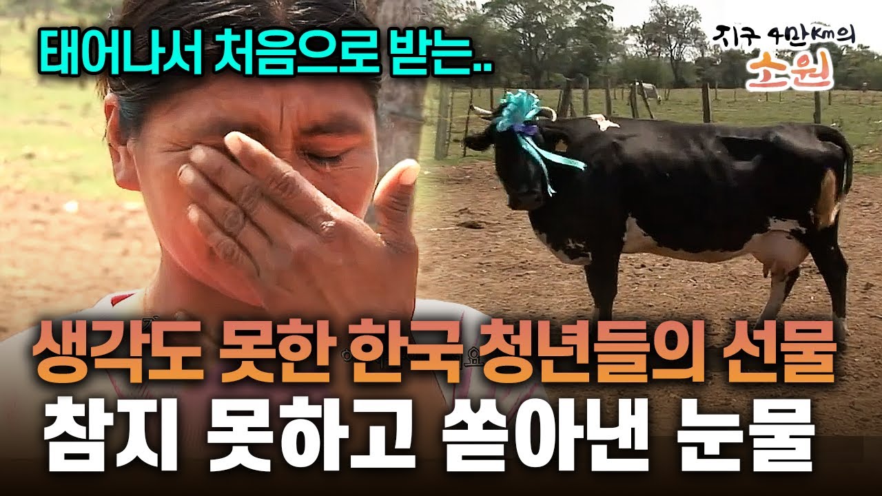 생각도 못한 한국 청년들의 선물 참지 못하고 쏟아낸 눈물 [지구 4만Km의 소원]