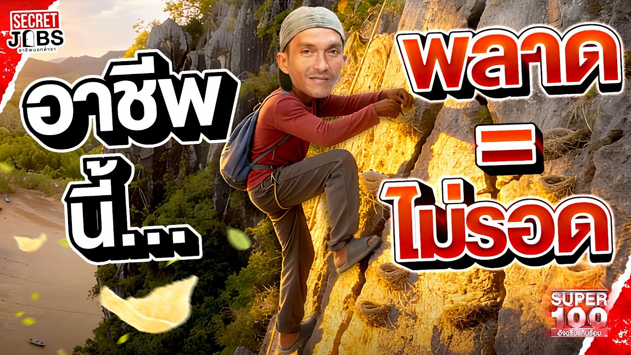 อาชีพที่เสี่ยงถึงชีวิต เพราะถ้าพลาดเท่ากับไม่รอด #บังโรจน์ เก็บรังนก | Secret Jobs – อาชีพนอกตำรา