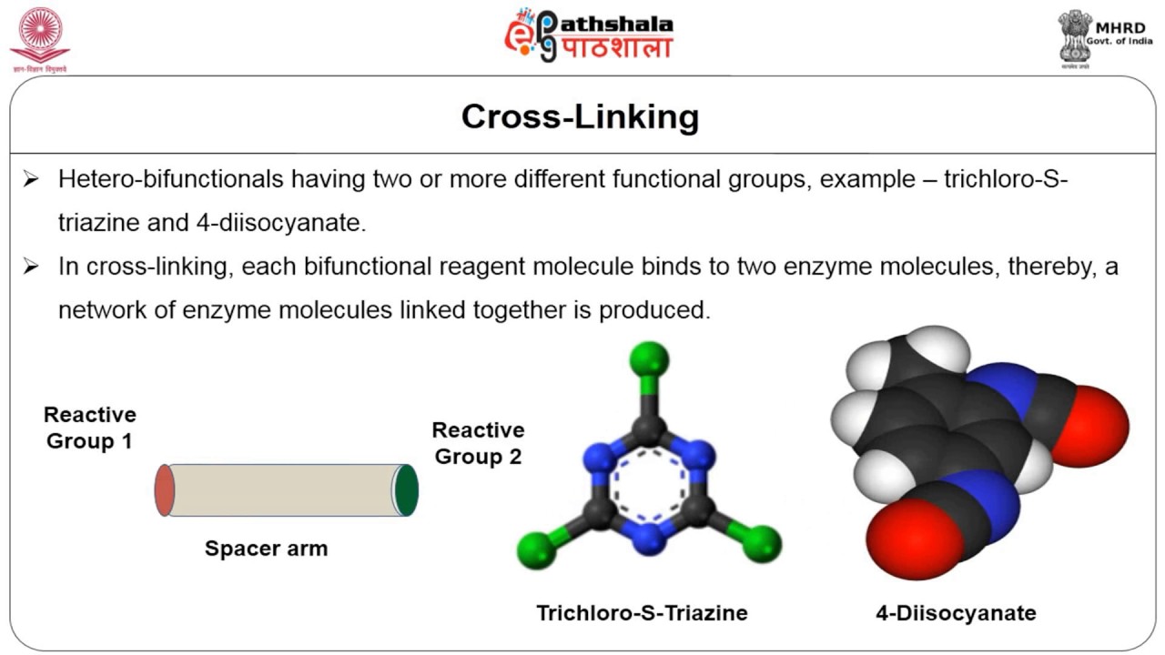 Immobilization of enzymes
