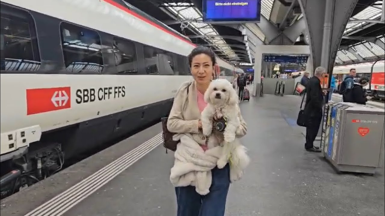 First time traveling international flight with my boy zikshoe ❤️